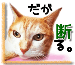 Cat of Roux. sticker #13782106