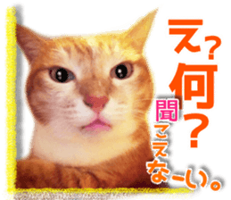 Cat of Roux. sticker #13782108