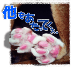 Cat of Roux. sticker #13782109