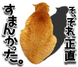 Cat of Roux. sticker #13782110