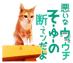 Cat of Roux. sticker #13782111