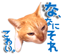 Cat of Roux. sticker #13782112