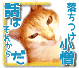 Cat of Roux. sticker #13782116