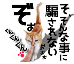 Cat of Roux. sticker #13782117