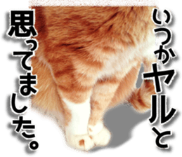 Cat of Roux. sticker #13782129