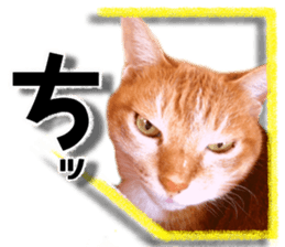 Cat of Roux. sticker #13782131