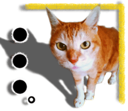 Cat of Roux. sticker #13782133