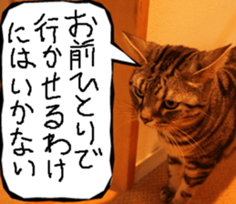 Instead tell the cat part7 sticker #13784614