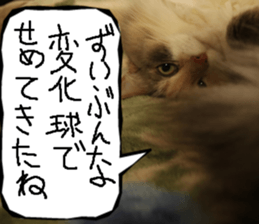 Instead tell the cat part7 sticker #13784619