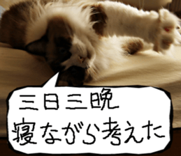 Instead tell the cat part7 sticker #13784621