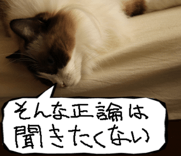 Instead tell the cat part7 sticker #13784622