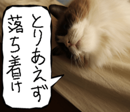 Instead tell the cat part7 sticker #13784623