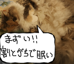 Instead tell the cat part7 sticker #13784625