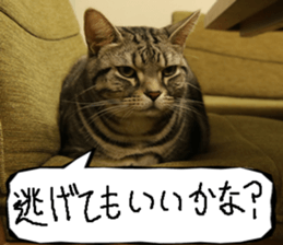 Instead tell the cat part7 sticker #13784627