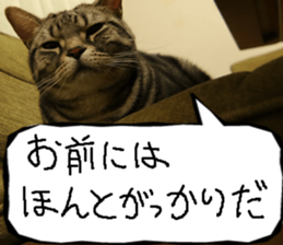 Instead tell the cat part7 sticker #13784628