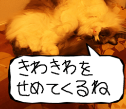 Instead tell the cat part7 sticker #13784630