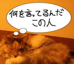 Instead tell the cat part7 sticker #13784631