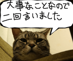 Instead tell the cat part7 sticker #13784632