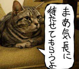 Instead tell the cat part7 sticker #13784633