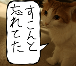 Instead tell the cat part7 sticker #13784638