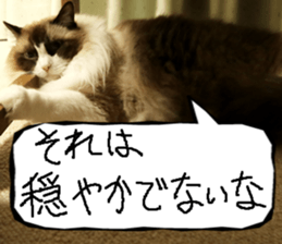 Instead tell the cat part7 sticker #13784639