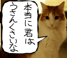 Instead tell the cat part7 sticker #13784640