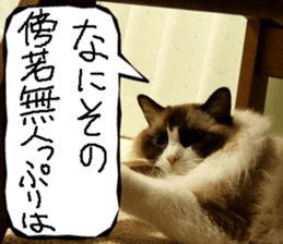 Instead tell the cat part7 sticker #13784644