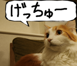 Instead tell the cat part7 sticker #13784645