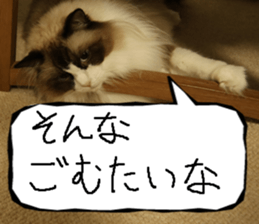 Instead tell the cat part7 sticker #13784647