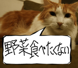 Instead tell the cat part7 sticker #13784650