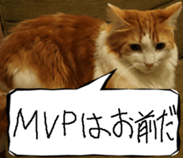 Instead tell the cat part7 sticker #13784651