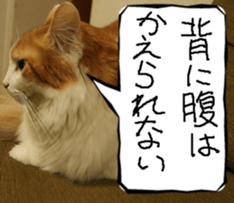 Instead tell the cat part7 sticker #13784652