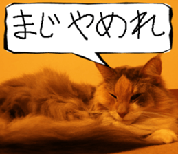 Instead tell the cat part7 sticker #13784653