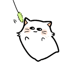 Big white cat sticker #13785205