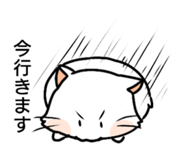 Big white cat sticker #13785231