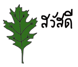 Always sticker #13786376