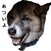 Mydogs sticker #13787356