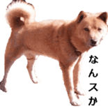 Mydogs sticker #13787357