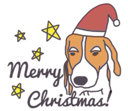 I love my beagle! 5 sticker #13787593