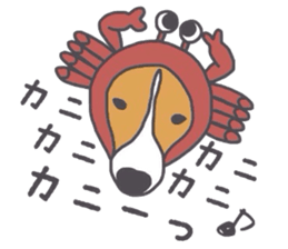 I love my beagle! 5 sticker #13787599