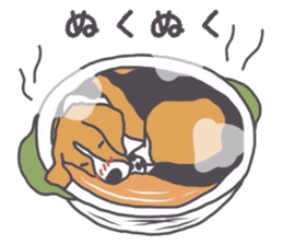 I love my beagle! 5 sticker #13787601