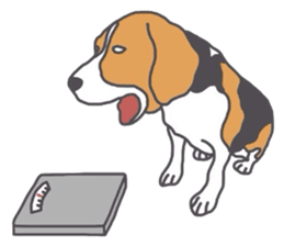 I love my beagle! 5 sticker #13787605