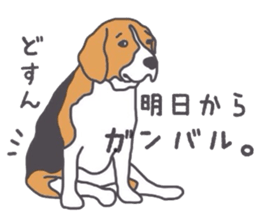 I love my beagle! 5 sticker #13787606