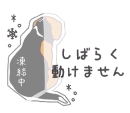 I love my beagle! 5 sticker #13787608