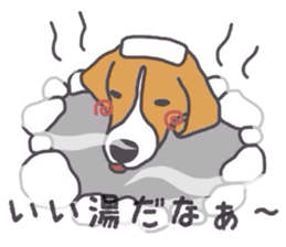 I love my beagle! 5 sticker #13787612