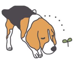I love my beagle! 5 sticker #13787613