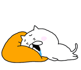 Somehow-cat sticker #13787977