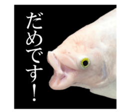 Huge tropical fish sticker #13788168