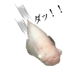 Huge tropical fish sticker #13788173