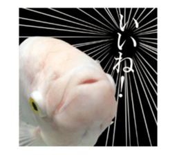 Huge tropical fish sticker #13788178